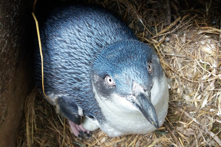 Featured image for “Nature Talks”