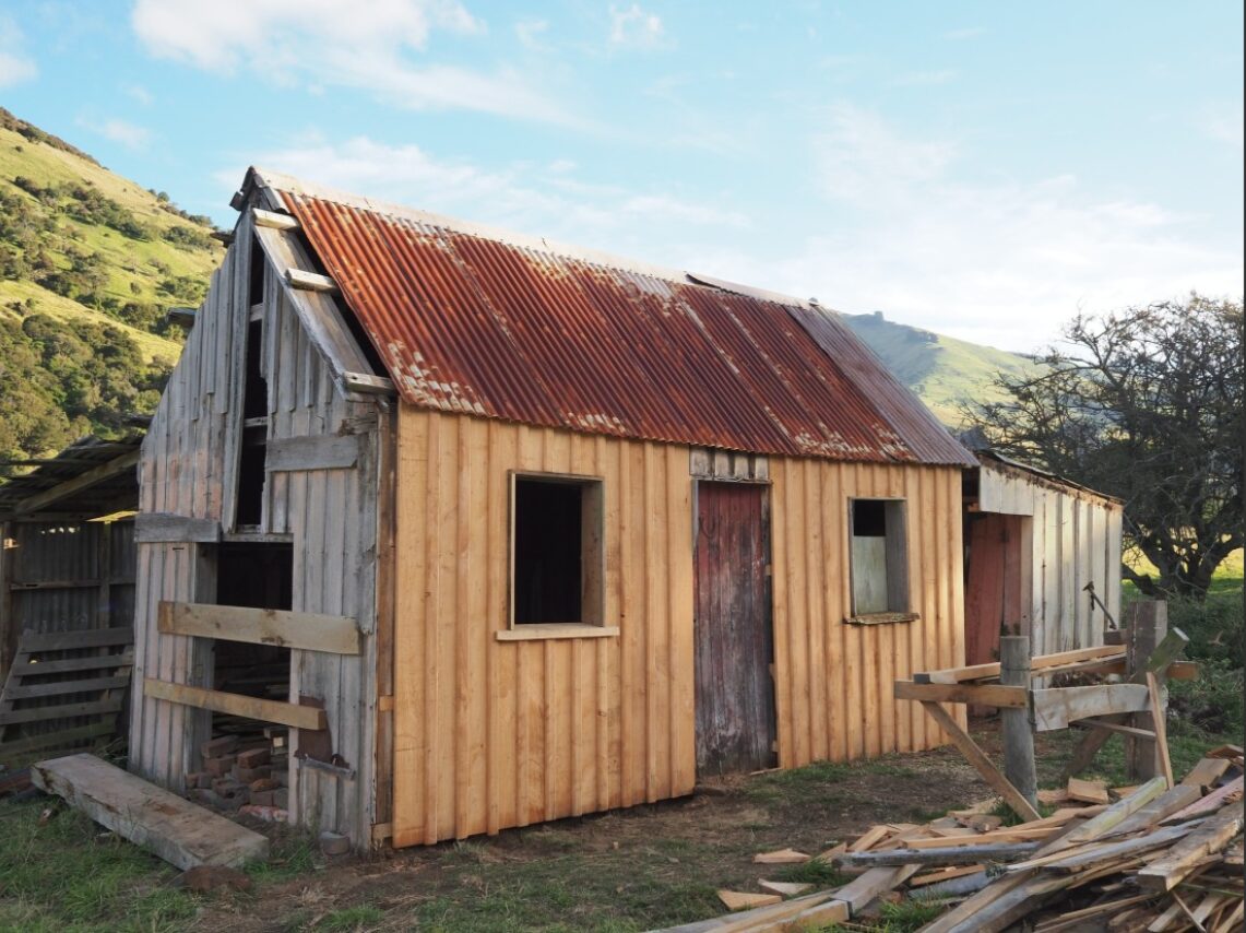 Featured image for “Hidden in Plain Sight”